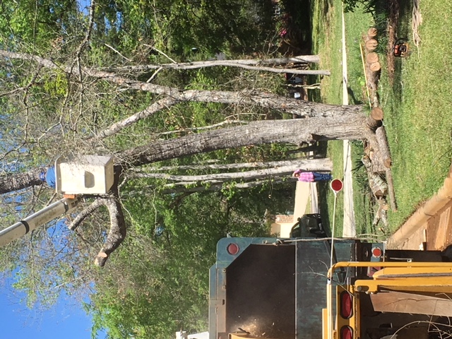 Dump truck and trailer used for hauling tree debris in Huntsville, TX