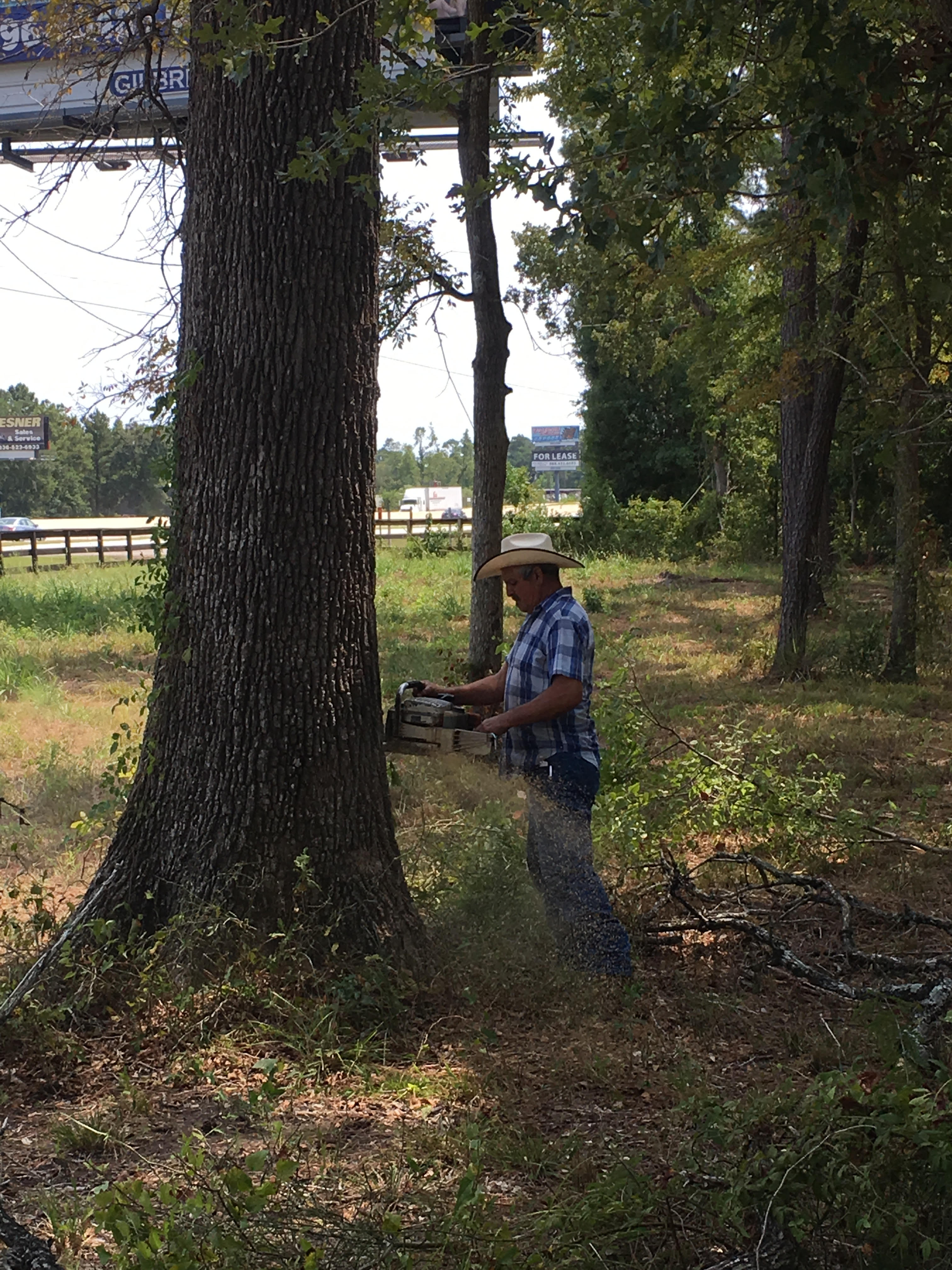 Aerial lift bucket truck trimming a tree next to a home in Huntsville, TX